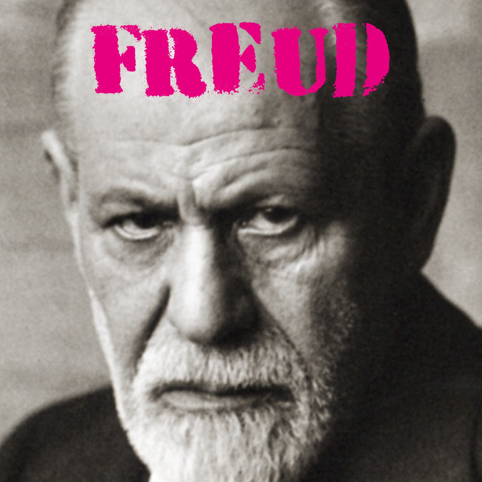 Foto von Sigmund Freud zur Lehrveranstaltung Freud - Der Vorlesungszyklus